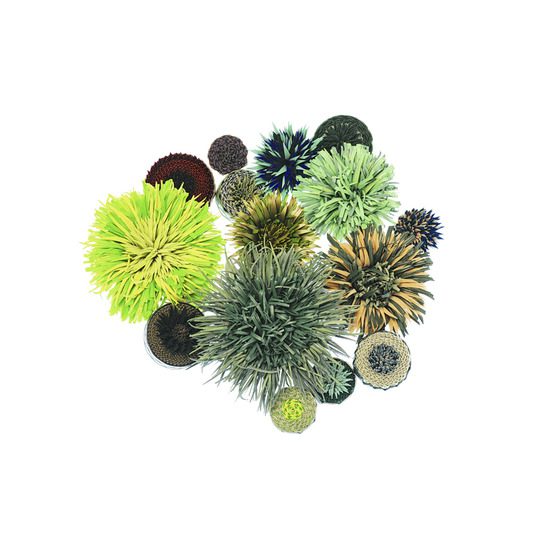 Entangled Garden Brooches - News