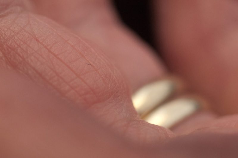 Fingers