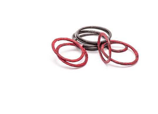 Liisa Hashimoto - Ring - News
