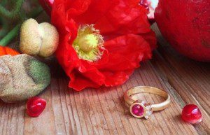 The Ruby Collection : Amy Renshaw