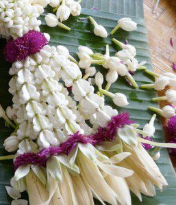 Jess Dare on the floral culture of Thailand