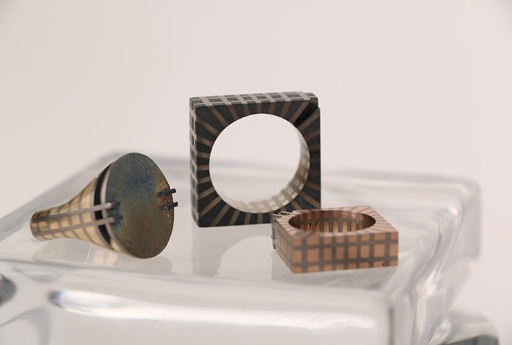 Carl Noonan - Flesh & Bone Rings Closeup