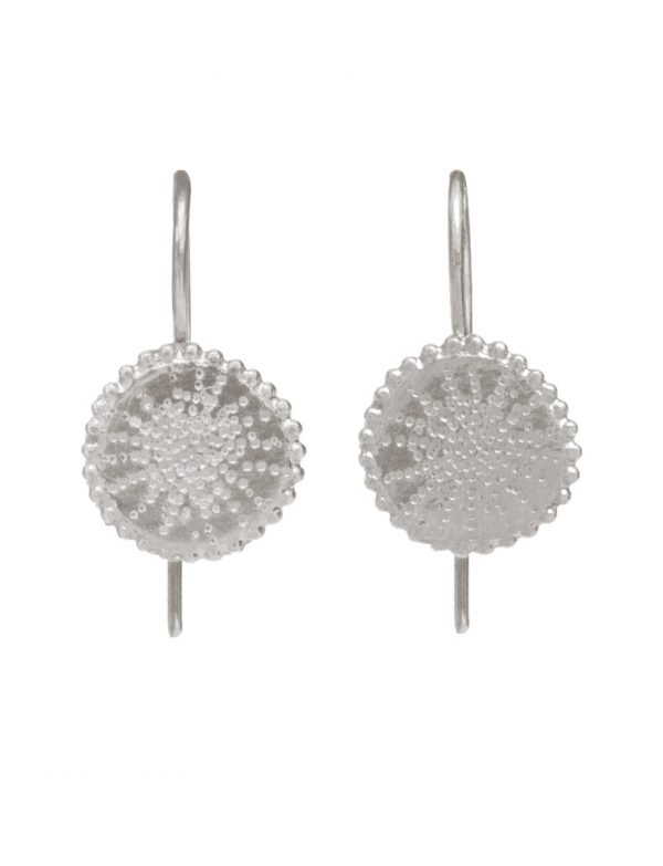 Star Hook Earrings – Silver