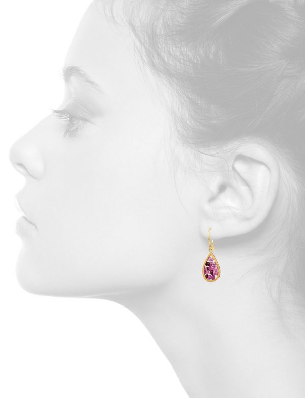 Reef Hook Earrings – Gold & Ruby