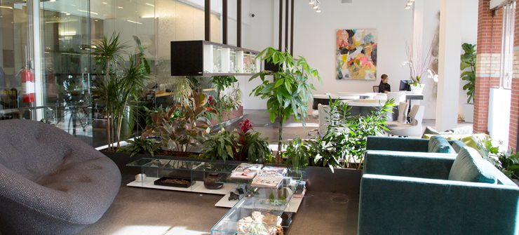 Todd Reed Showroom