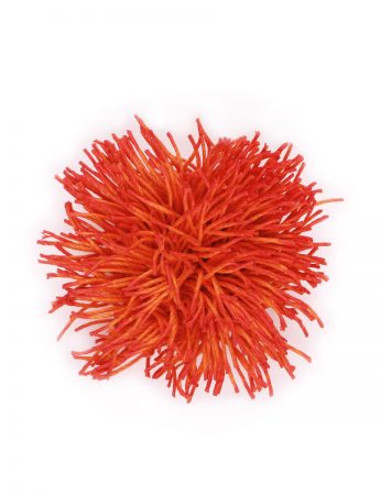 Fiery Orange Wattle Brooch