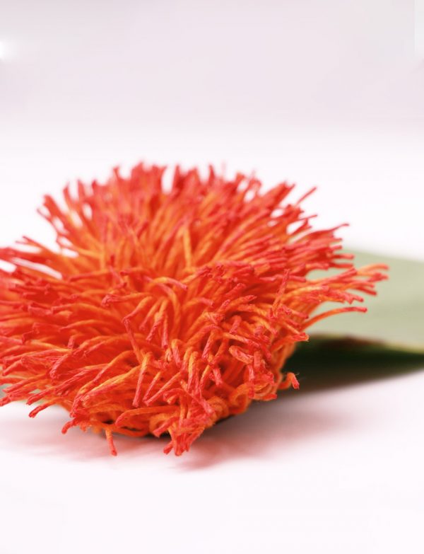 Fiery Orange Wattle Brooch