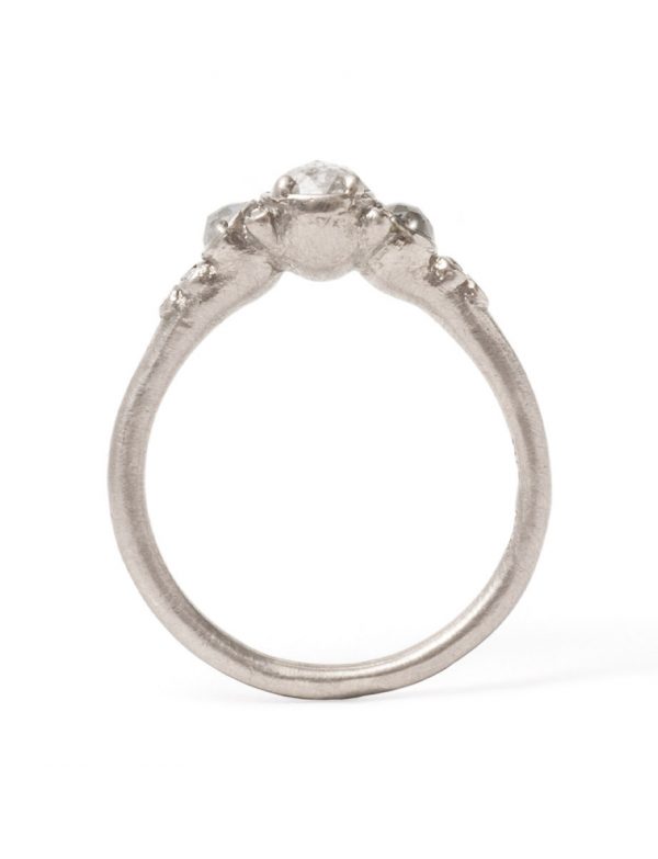 Small Arctic Winter Ring