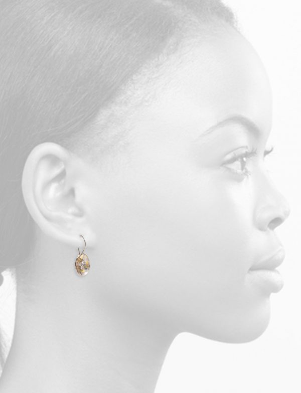 Celestial Terrain Rounded Hook Earrings – Gold with Diamonds