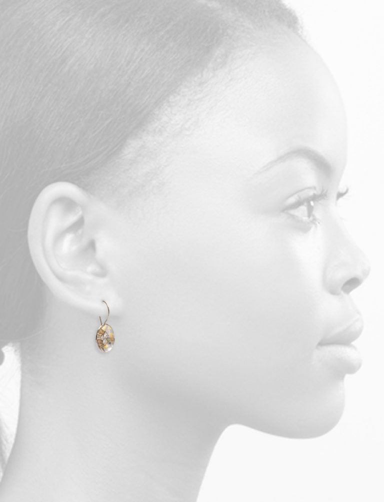 Celestial Terrain Rounded Hook Earrings – Gold with Diamonds