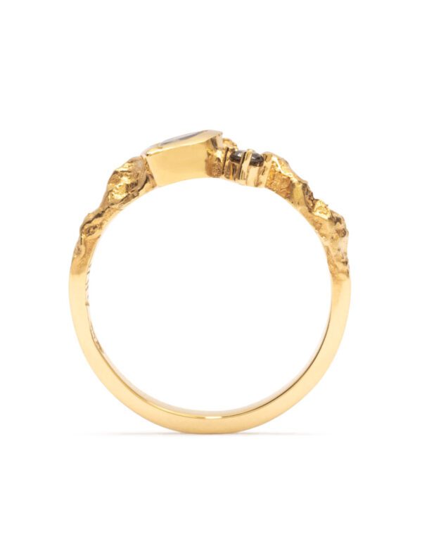 Lyra Ring – Yellow Gold & Salt and Pepper Diamond
