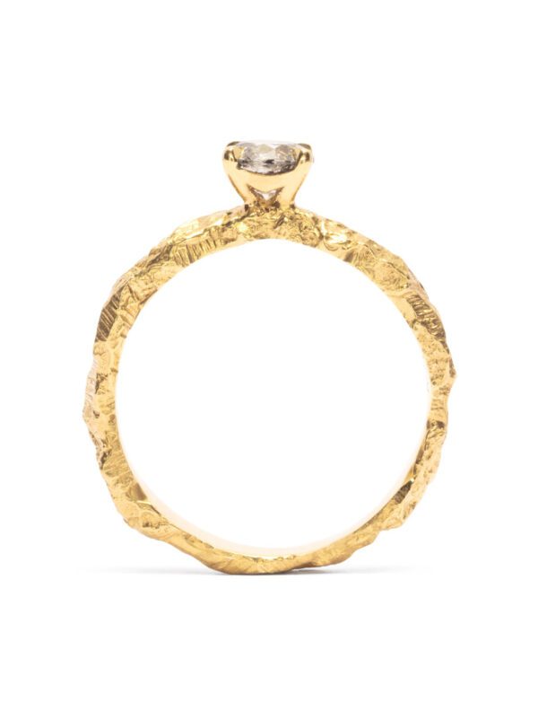Dawn Ring – Yellow Gold & Salt and Pepper Diamond