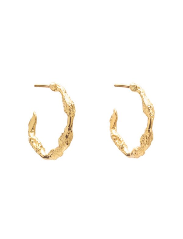 Vinifera Small Hoop Earrings – Yellow Gold