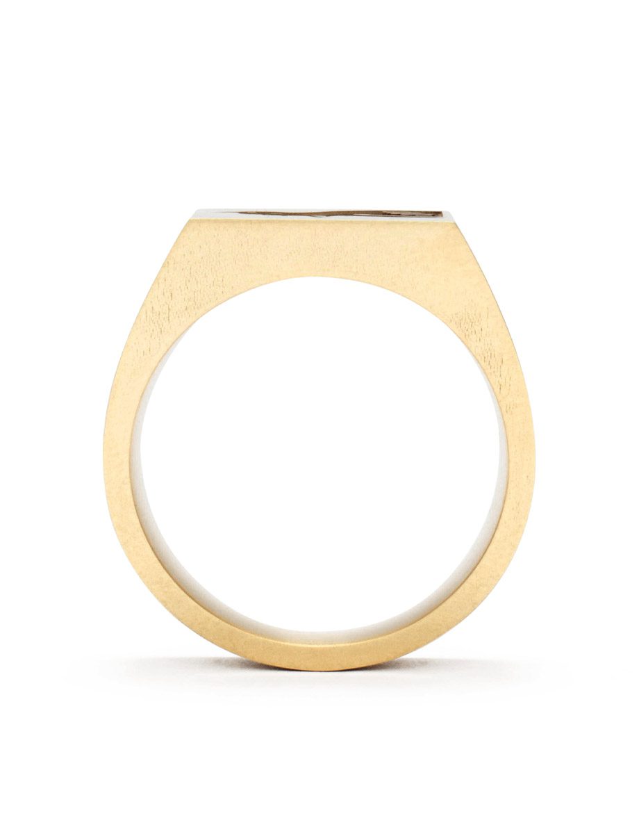Blackbird – No Safe Place to Land Ring – Yellow Gold