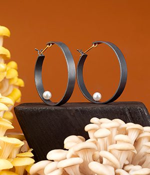 From Light to Dark: What is Oxidisation?