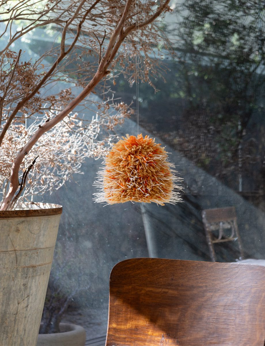 Desert — Banksia Sculpture