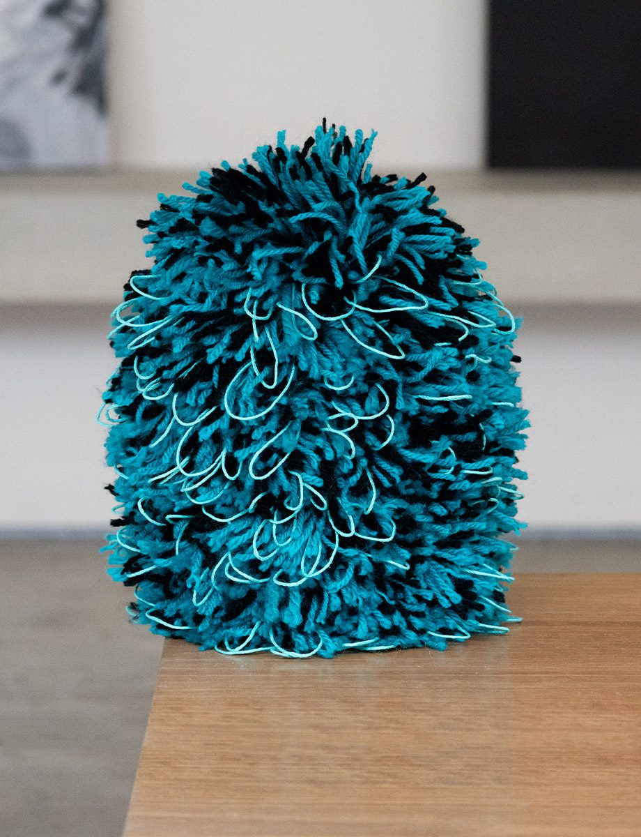 Loopy — Banksia Sculpture