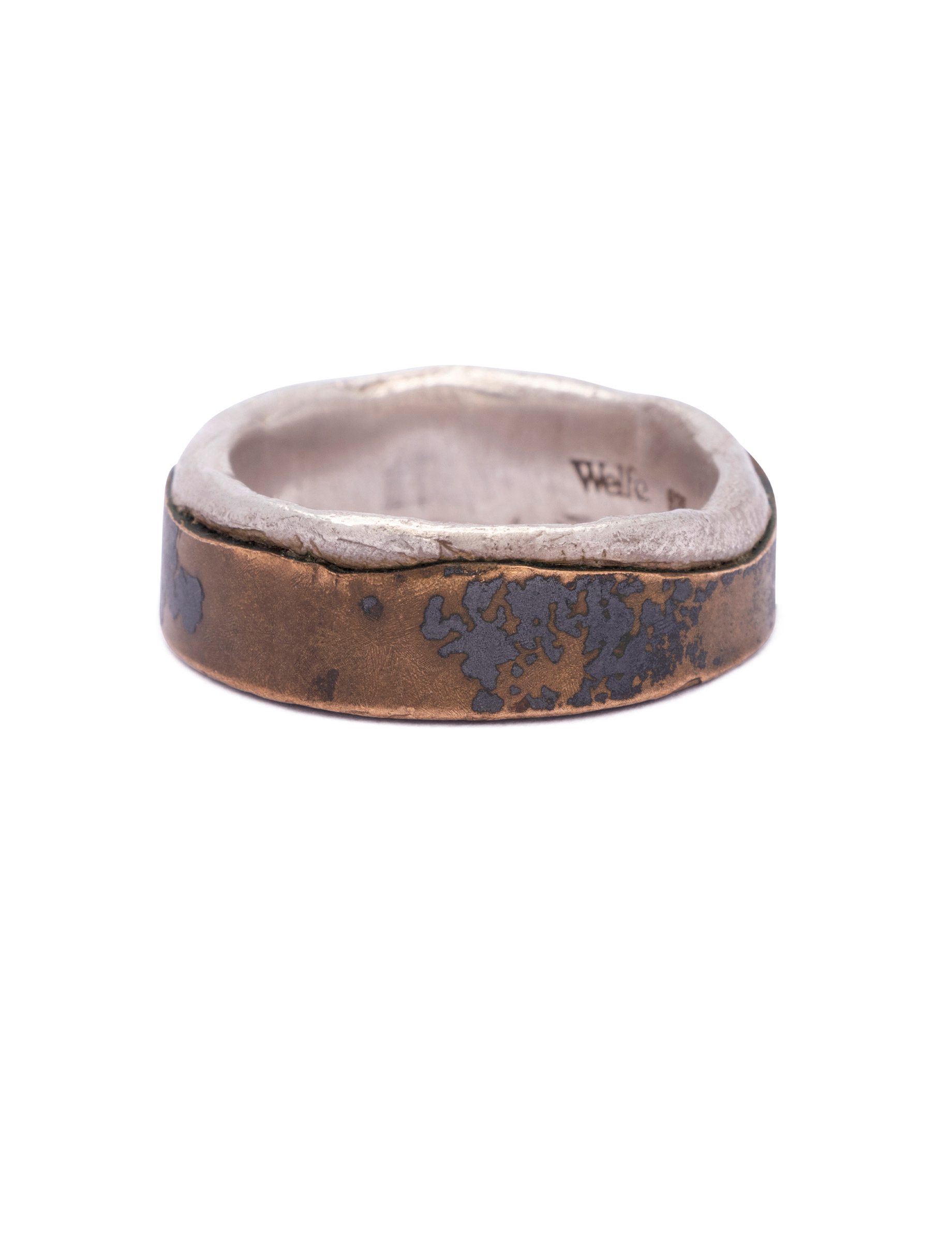 Twice Cast Lanscape Ring – Bronze & Sterling Silver